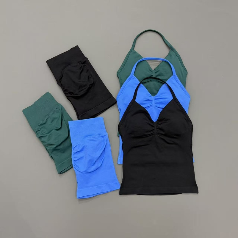 2 Piece Gym Set Women Seamless - Herbal Yoga avaliação e preço