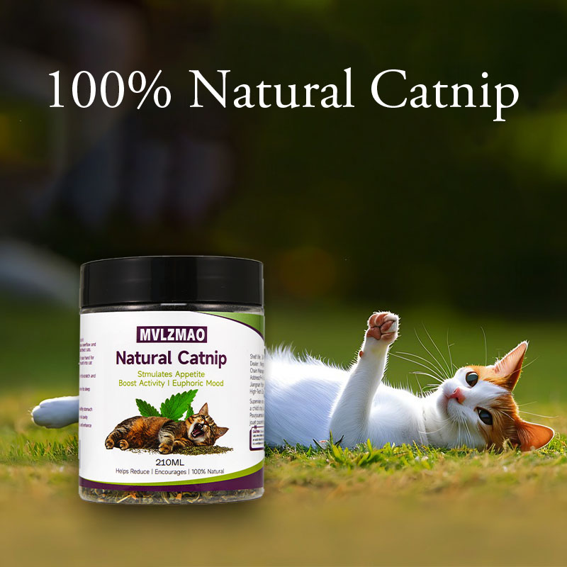Cat Toys - Silvervine Catnip f - Herbal Wellness Products avaliação e preço