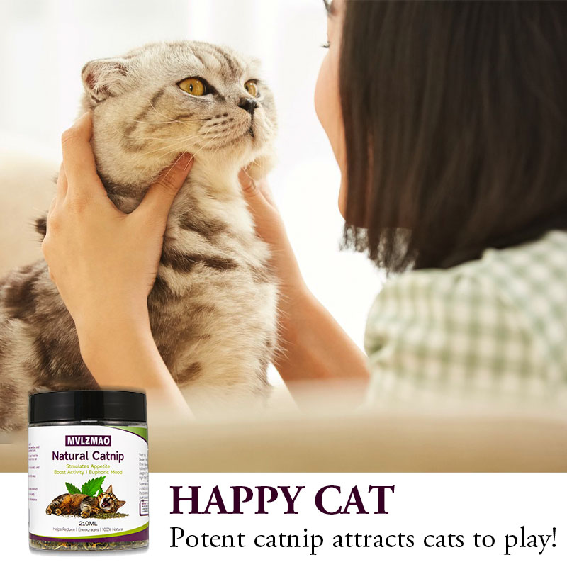 Cat Toys - Silvervine Catnip f - Herbal Wellness Products avaliação e preço